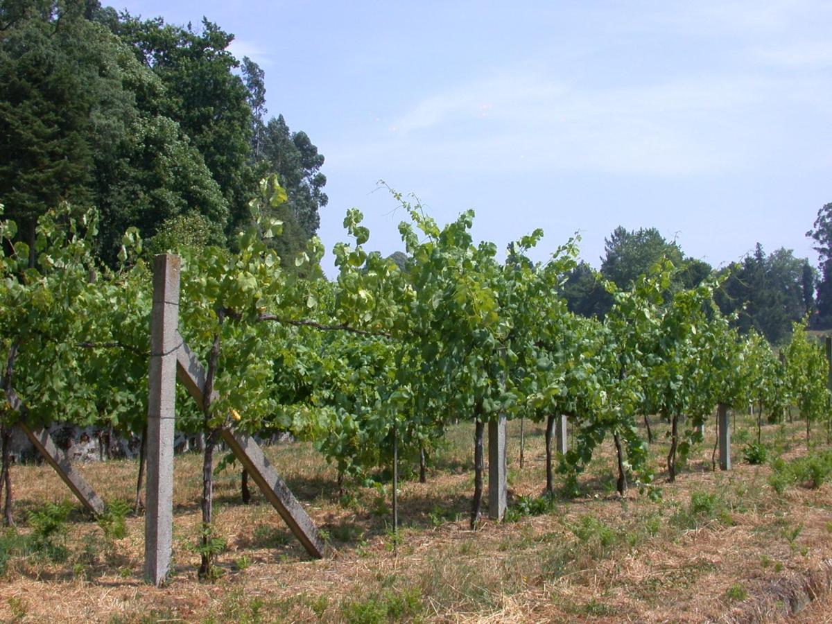 הוילה לוסאדה Quinta Da Tapada מראה חיצוני תמונה